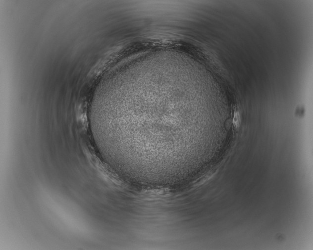 X0000113630771200910021851