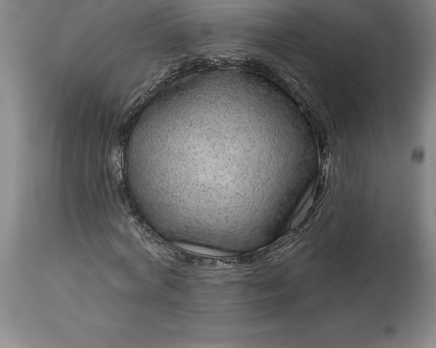 X0000113630772200910021851
