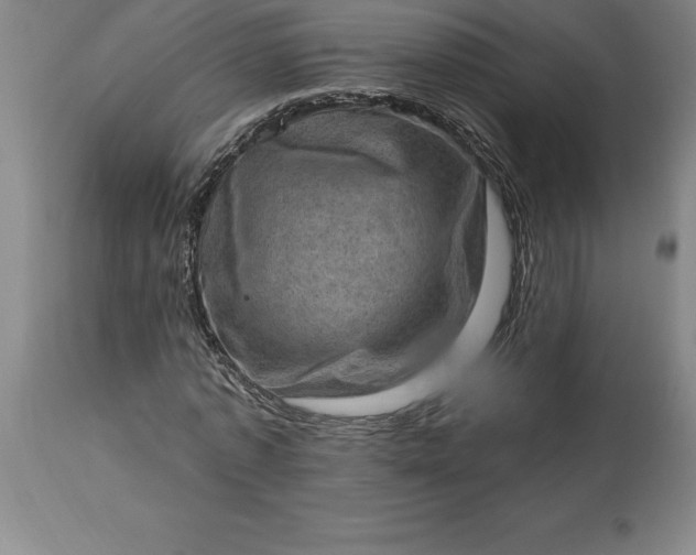 X0000113630773200910021851