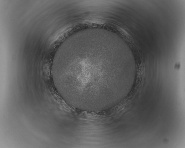 X0000113630774200910021851