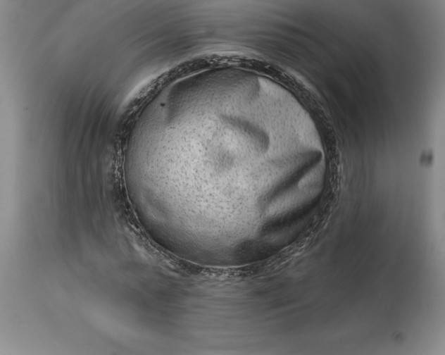 X0000113630775200910021851