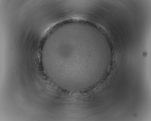 X0000113630776200910021851
