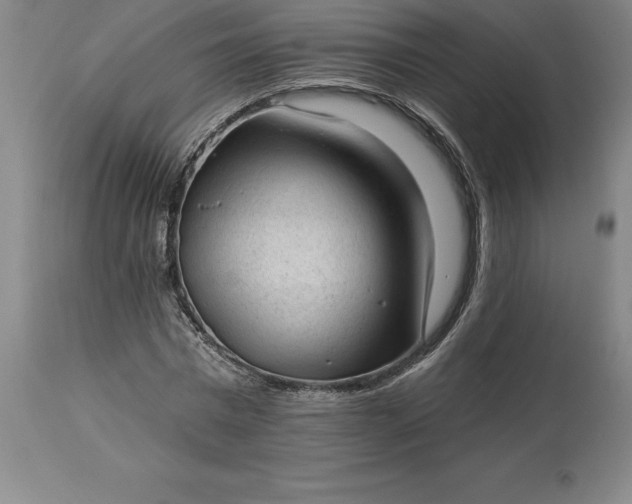 X0000113630777200910021851