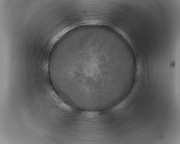 X0000113630778200910021851