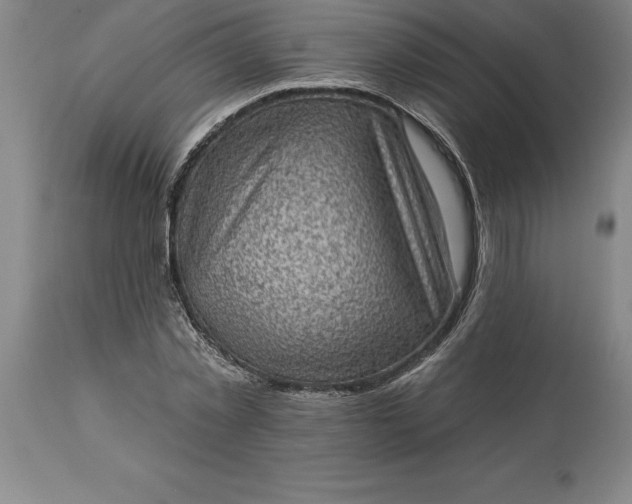 X0000113630781200910021851