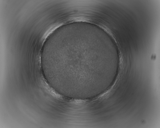 X0000113630782200910021851