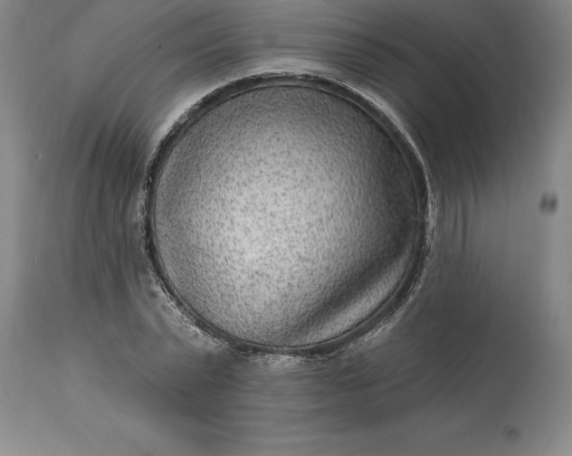 X0000113630783200910021851