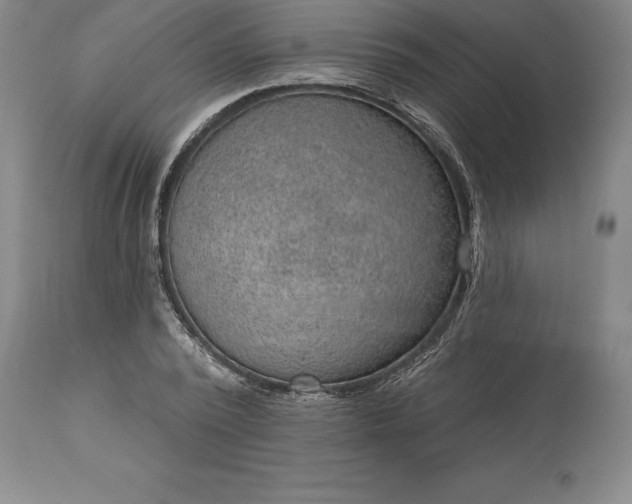 X0000113630784200910021851