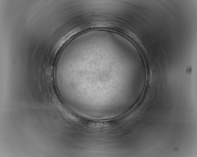 X0000113630786200910021851