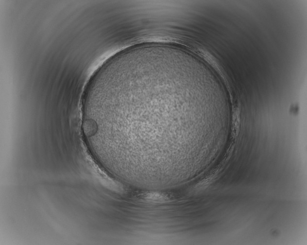 X0000113630787200910021851