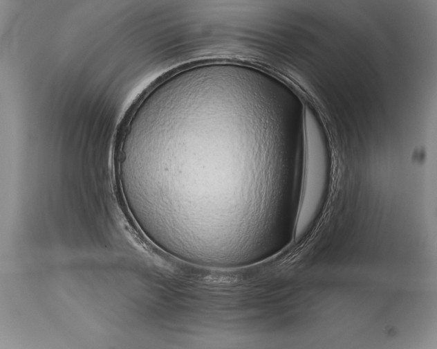 X0000113630788200910021851