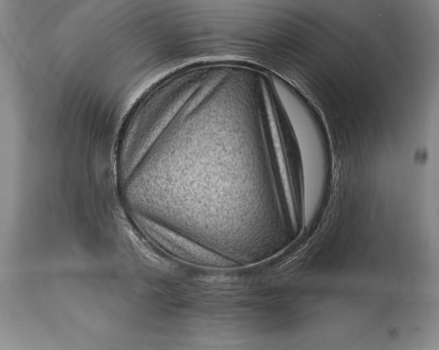 X0000113630789200910021851