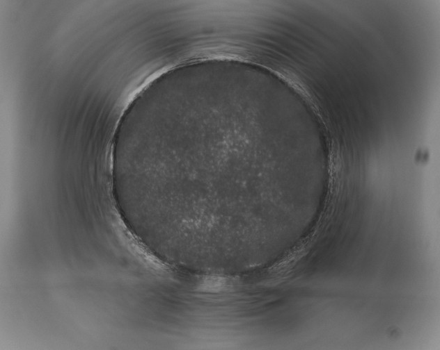 X0000113630790200910021851