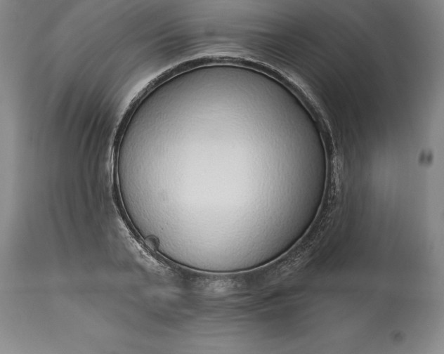 X0000113630791200910021851