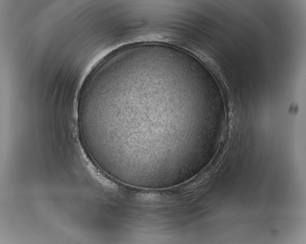 X0000113630792200910021851