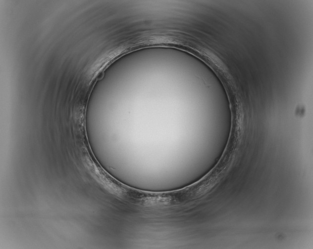 X0000113630793200910021851
