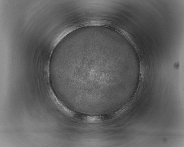 X0000113630794200910021851