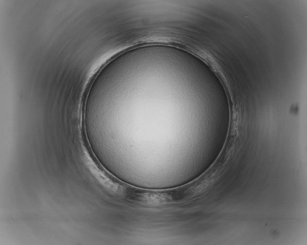 X0000113630795200910021851