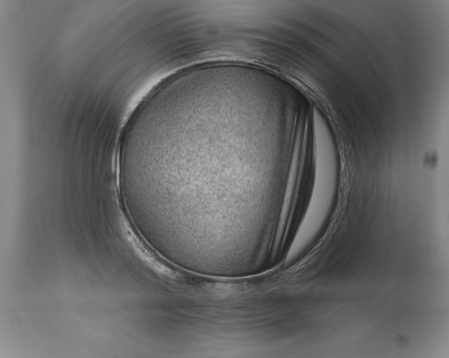 X0000113630796200910021851