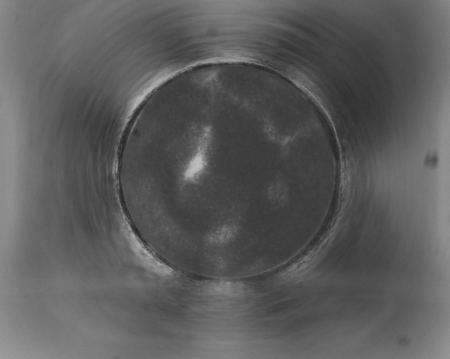 X0000113630797200910021851