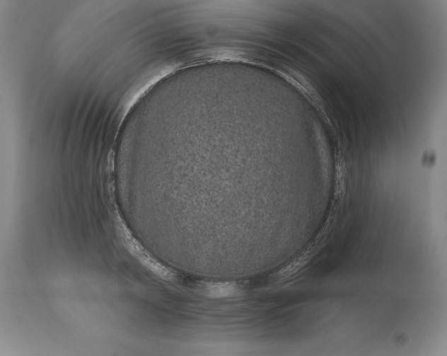 X0000113630798200910021851