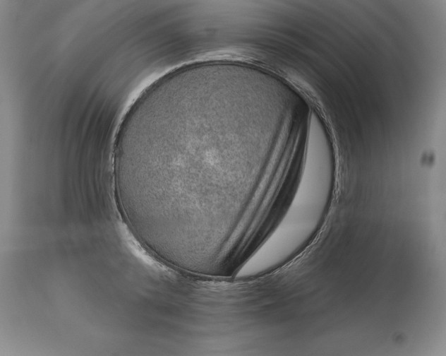 X0000113630800200910021851