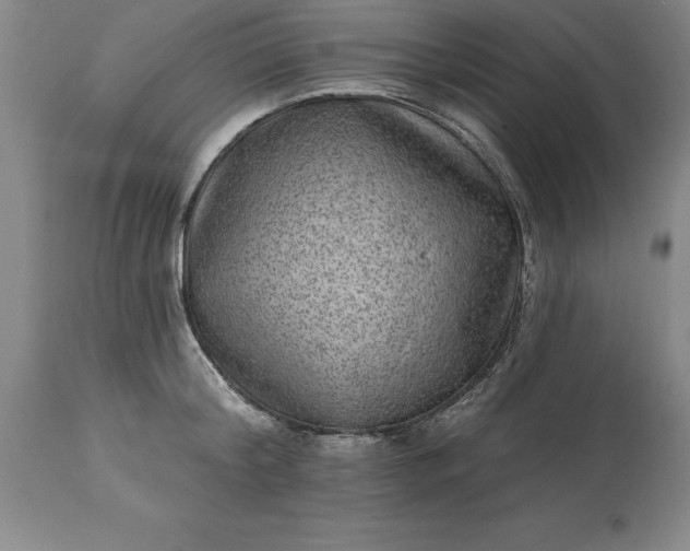 X0000113630804200910021851