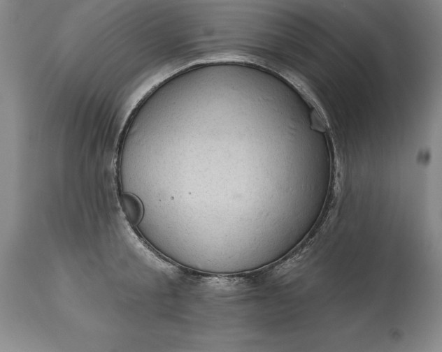 X0000113630805200910021851