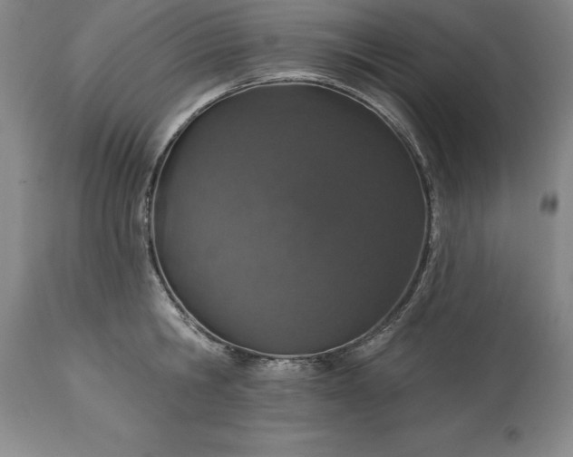 X0000113630806200910021851