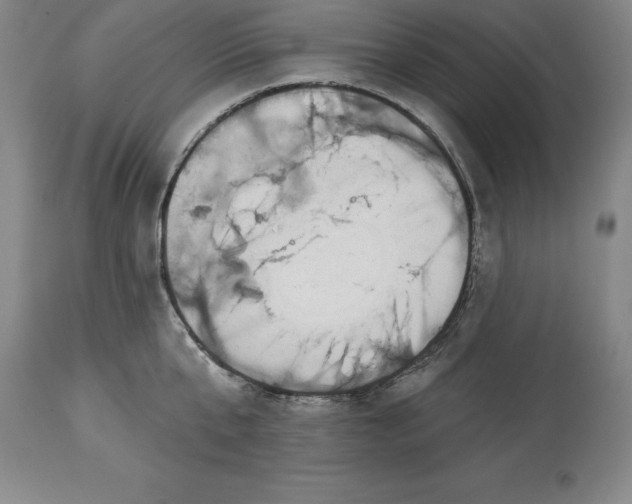X0000113630807200910021851