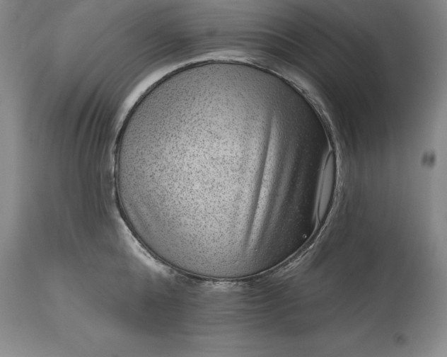X0000113630808200910021850