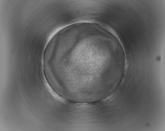 X0000113630811200910021850
