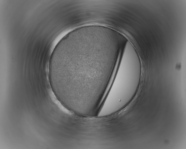 X0000113630812200910021850