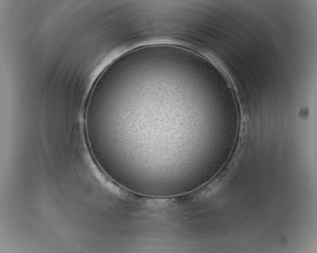 X0000113630813200910021850