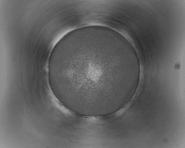 X0000113630814200910021850