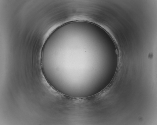 X0000113630815200910021850