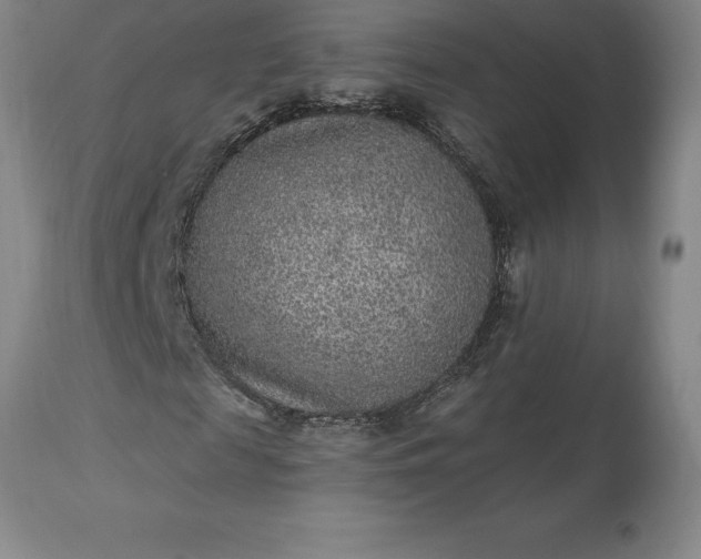 X0000113630817200910021850
