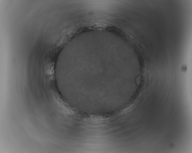 X0000113630818200910021850