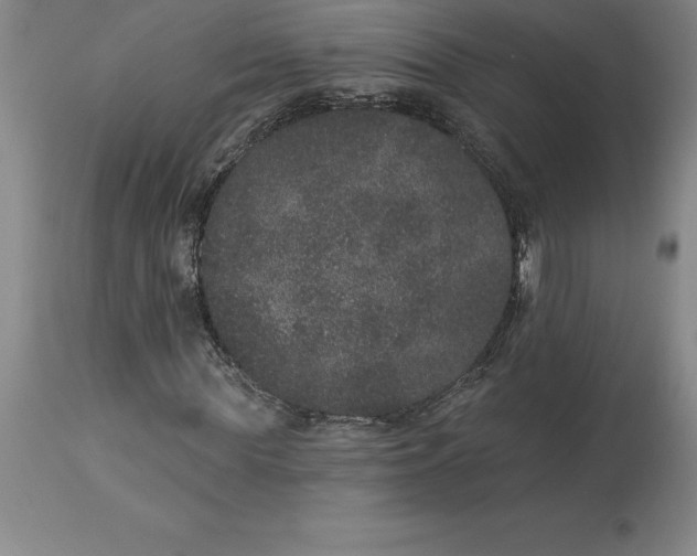 X0000113630819200910021850