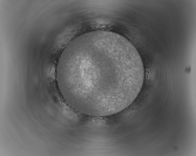 X0000113630820200910021850