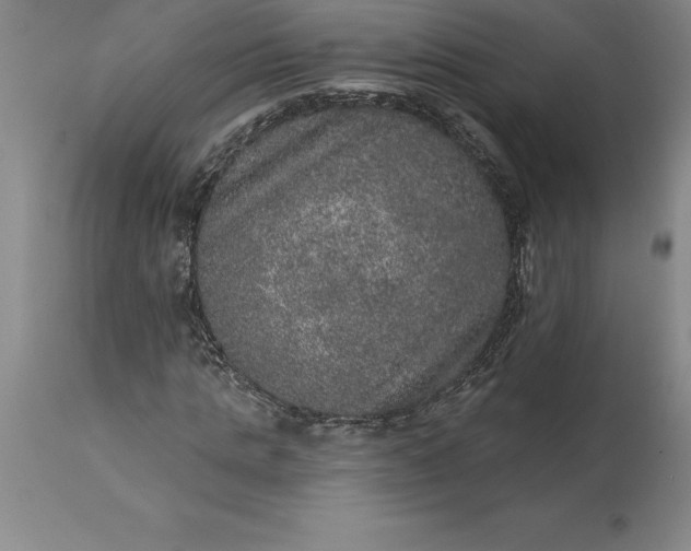 X0000113630821200910021850