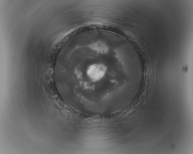 X0000113630822200910021850