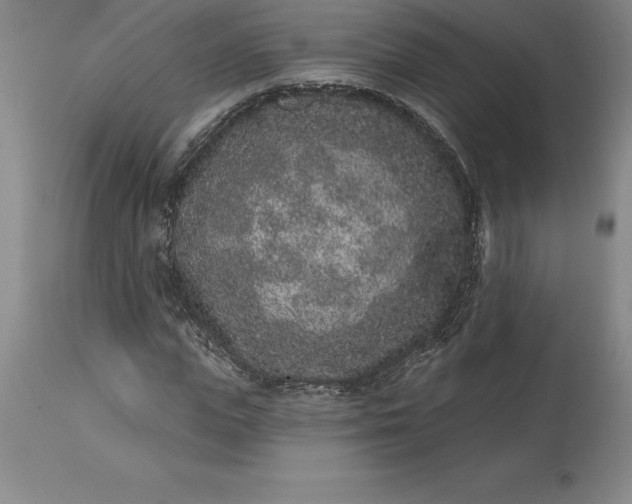 X0000113630823200910021850