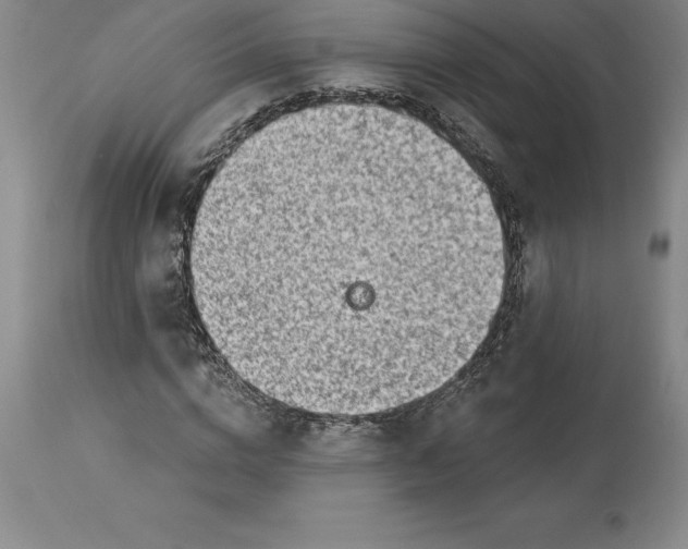 X0000113630824200910021850