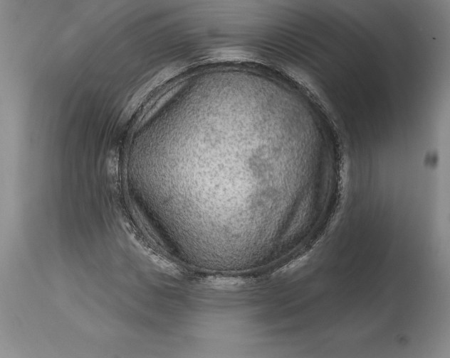 X0000113630825200910021850