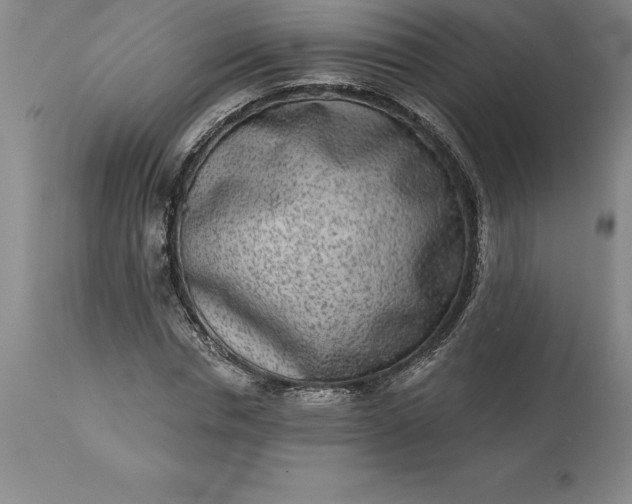 X0000113630826200910021850