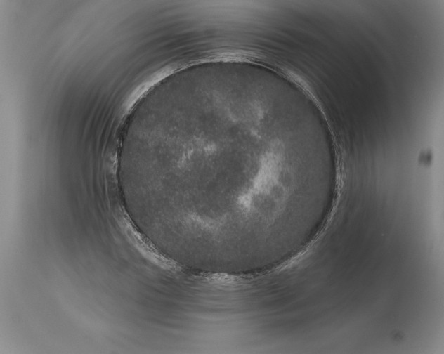 X0000113630827200910021850
