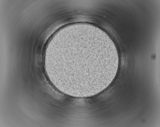 X0000113630828200910021850