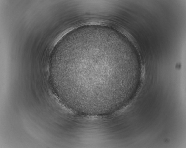 X0000113630829200910021850