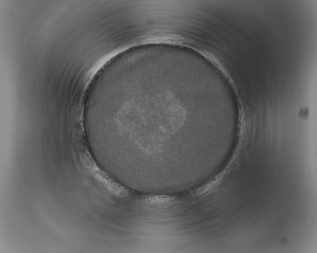 X0000113630830200910021850